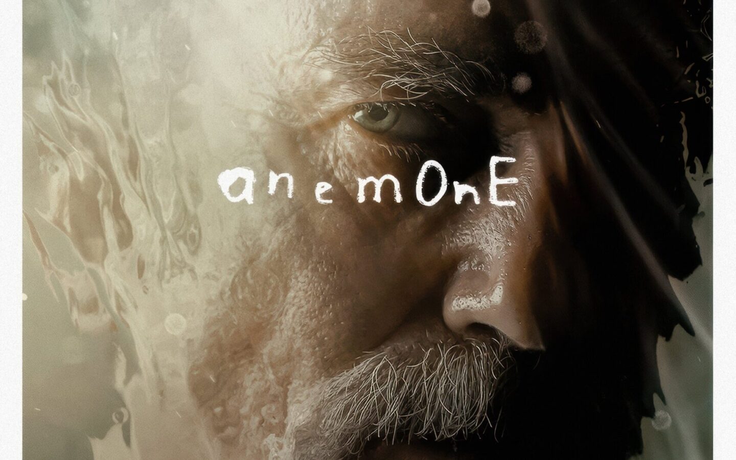 ANEMONE