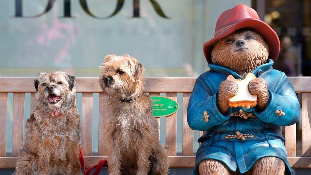 PADDINGTON THE MUSICAL