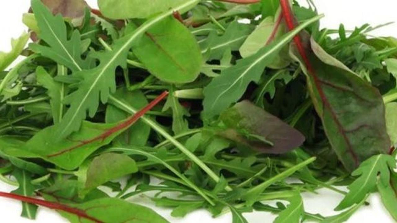 Meal card cover for: Mixed Baby Leafs (250ml Box)