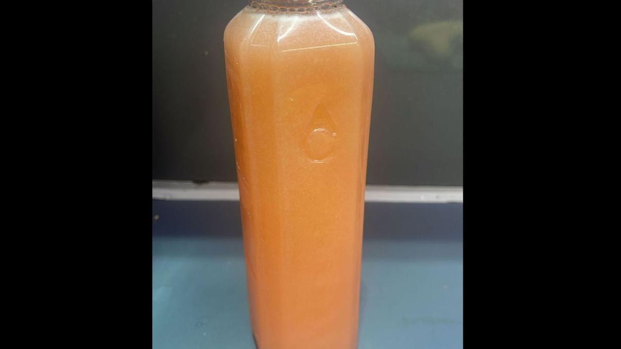 Meal card cover for: Pink Lemon Water