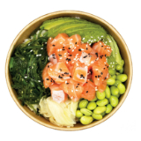 Meal card cover for: Salmon Bowl 🐟️ (サーモンボウル)