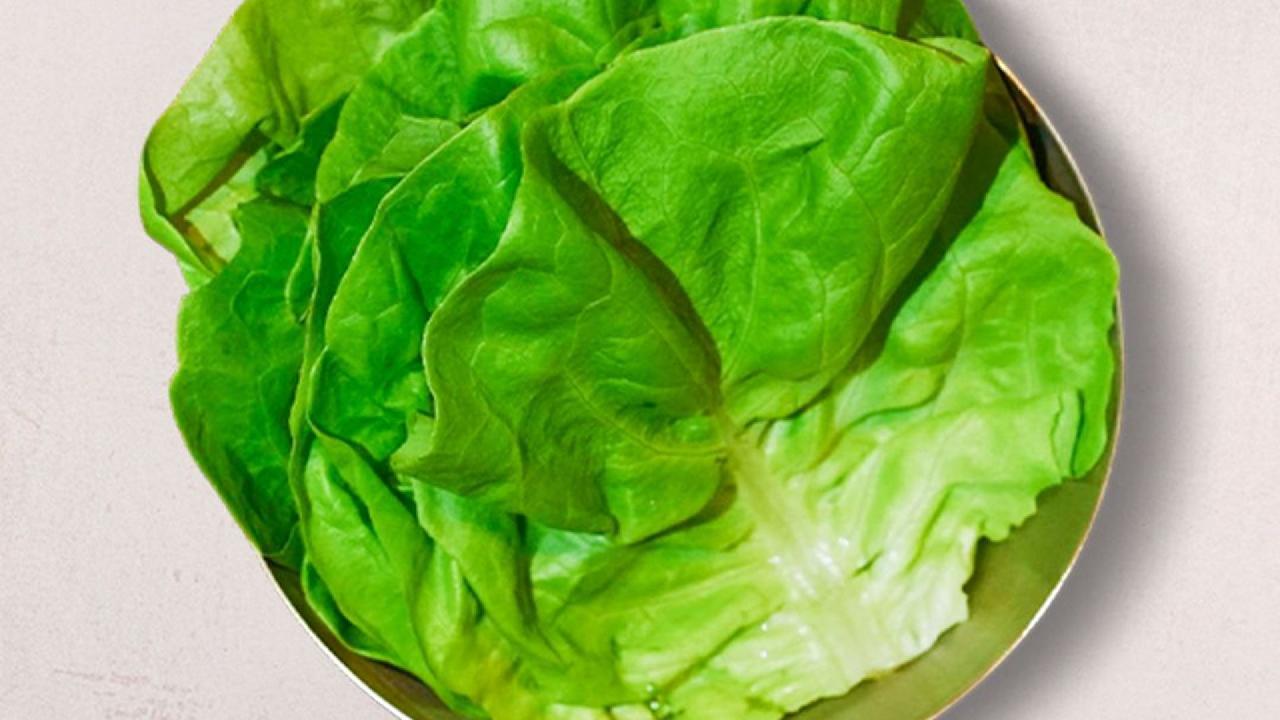 Meal card cover for: Fresh Lettuce (V)