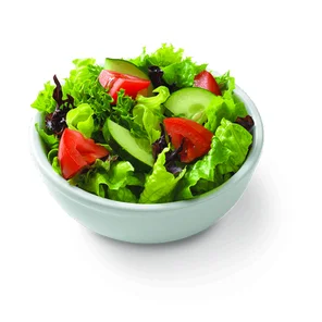 Meal card cover for: Lebanese Salad