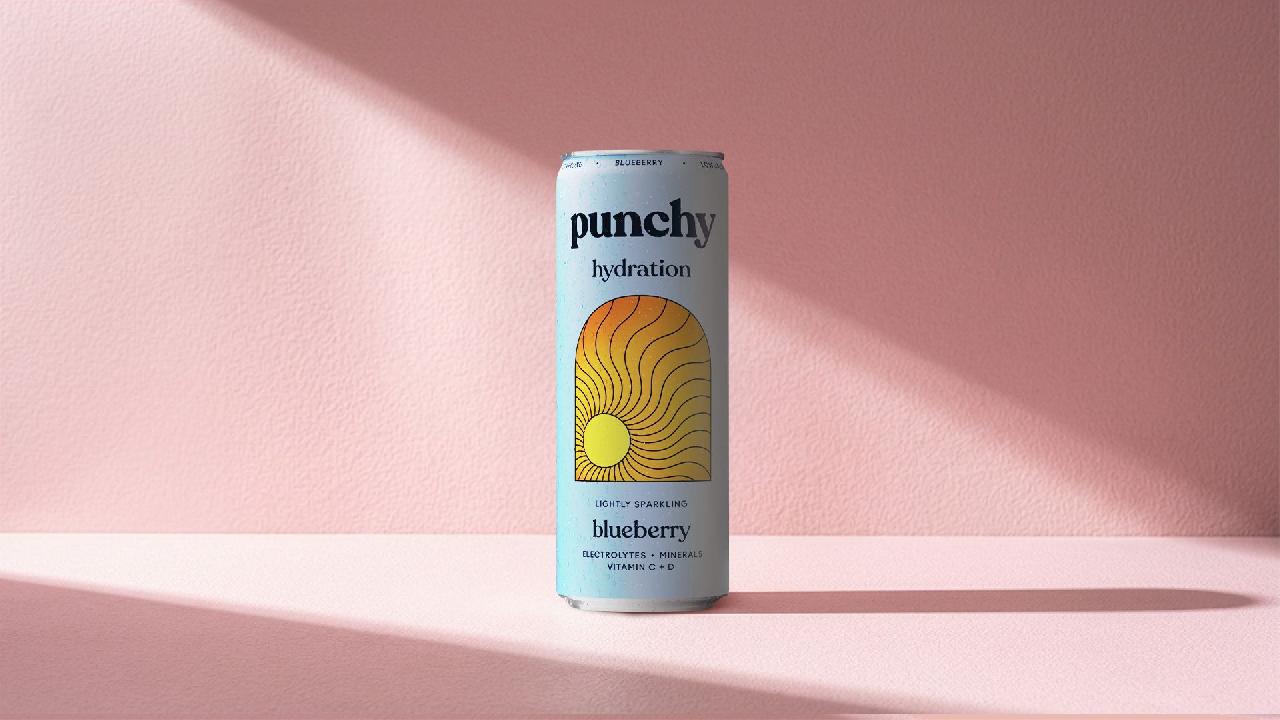 Meal card cover for: Punchy - Blueberry