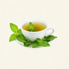 Meal card cover for: Mint Tea