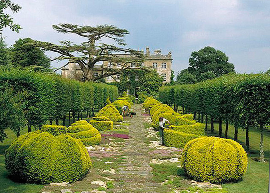 James otter highgrove timber selection garden with cedar of lebanon