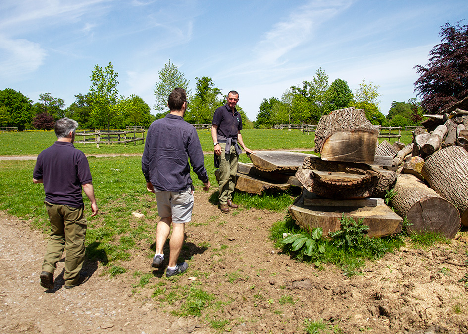 James otter highgrove timber selection