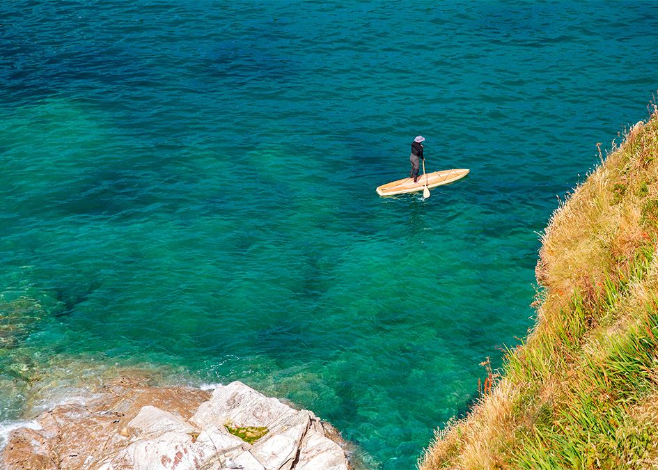 paddleboard wooden otter coast sea