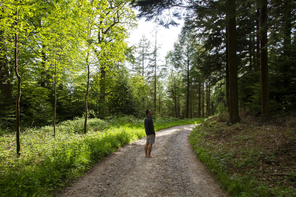 James-Otter-Woodland-09