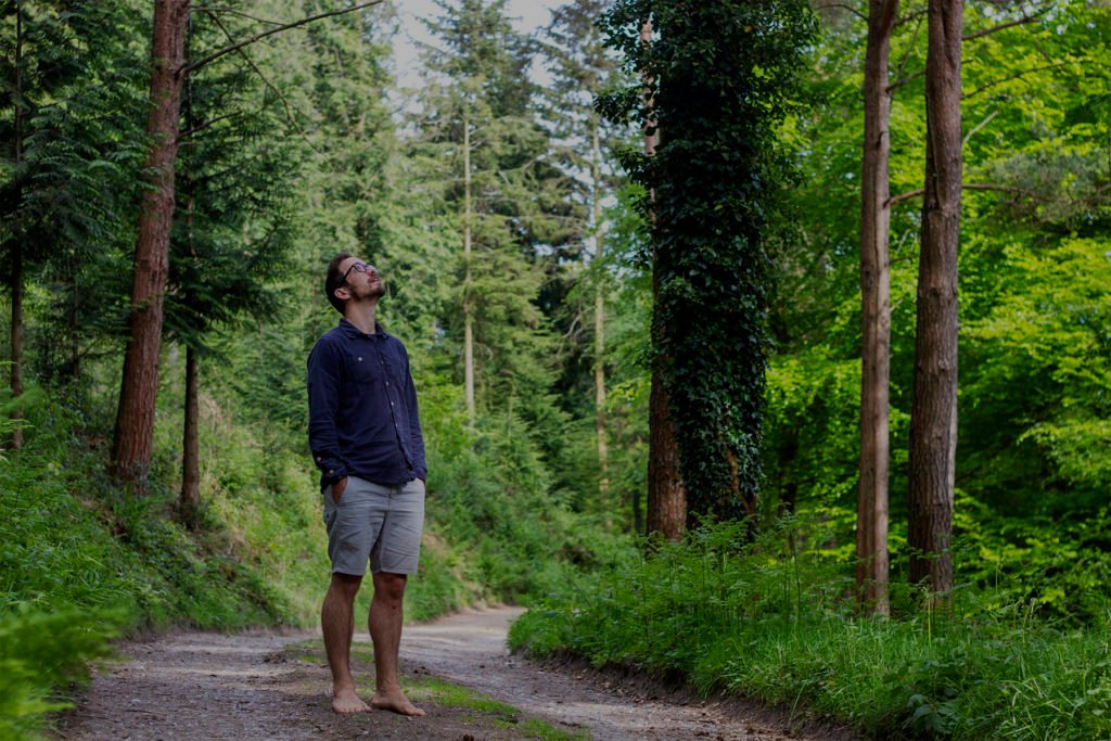 James Otter Woodland Stourhead western estate