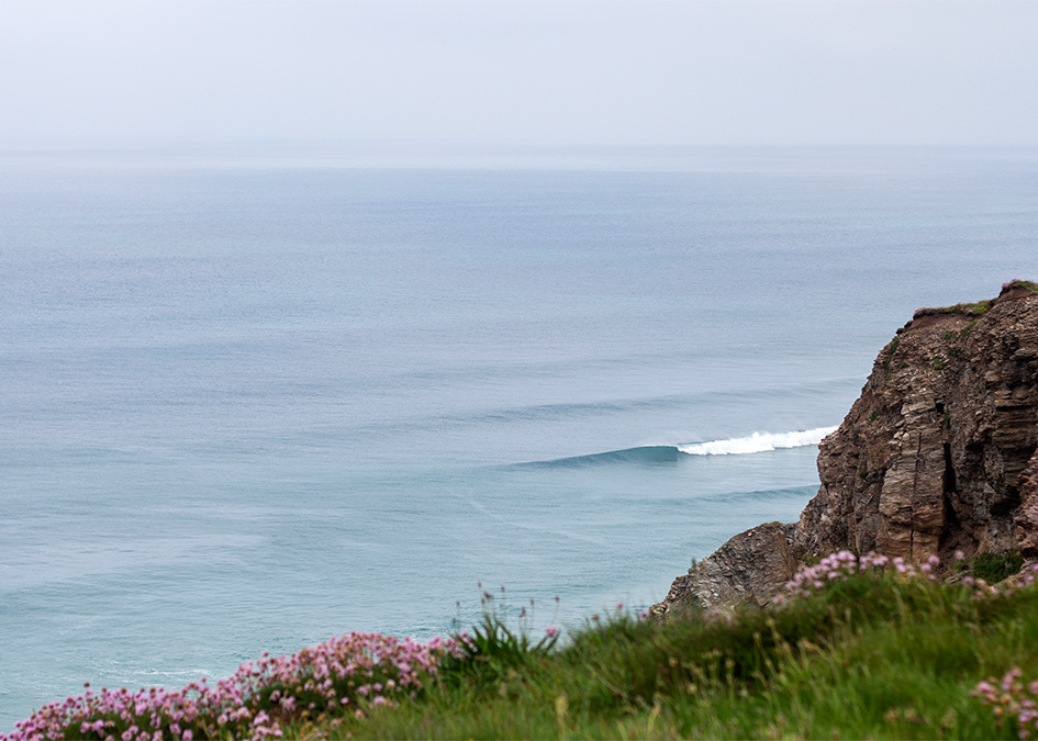 sea pinks and surf under the cliffs