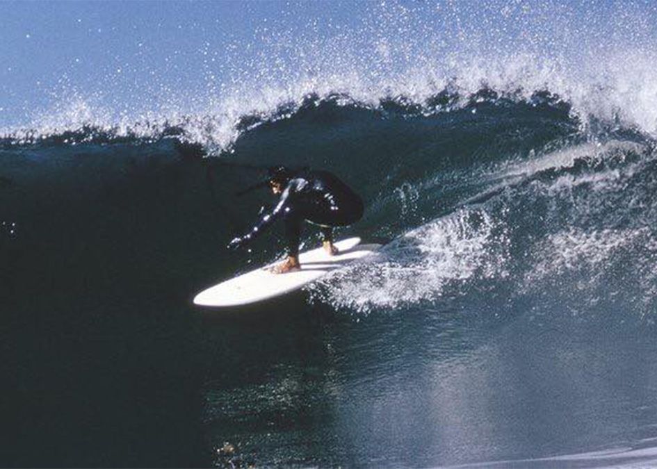 Surfer wave fish