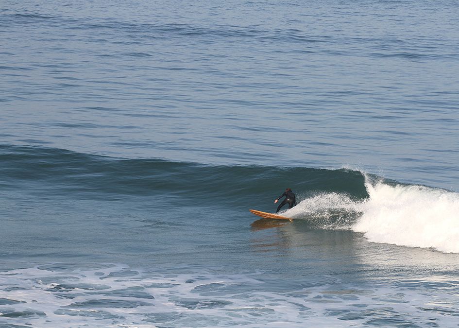 Otter wooden surfboards surfer surfing bottom turn wave