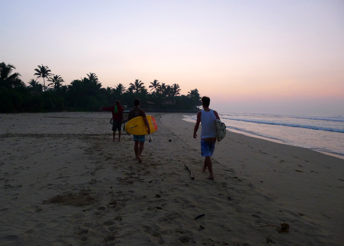 surfers at dawn on beach in sri lanka