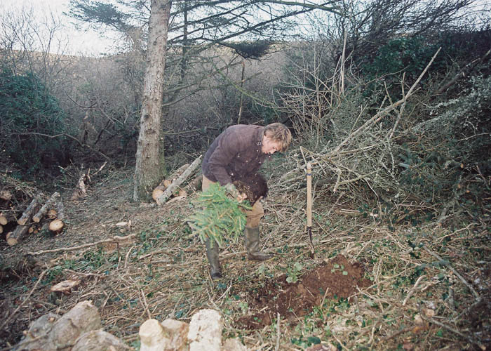 Mat Arney Tree planting