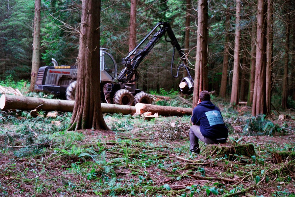 The Storyboard by James Otter and Mat Arney Wooden Surfboard Project james in woodland