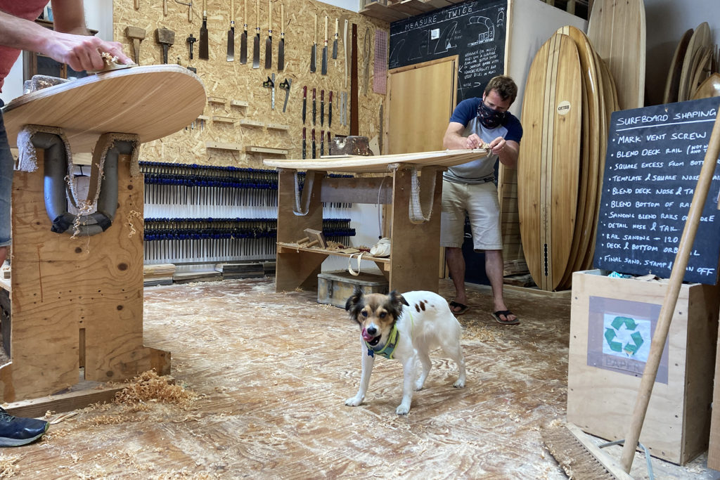 Otter Wooden Surfboard Workshop June 2021 Mike and Jon-Mike James and Jon Nala the dog shaping surfboard supervision