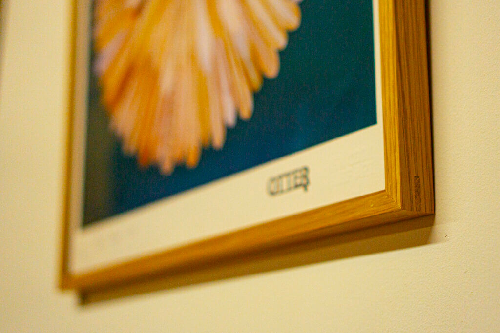 the framer kernow otter surfboards ben cook surf flower