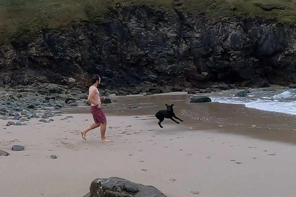 otter surfboards beach dog running