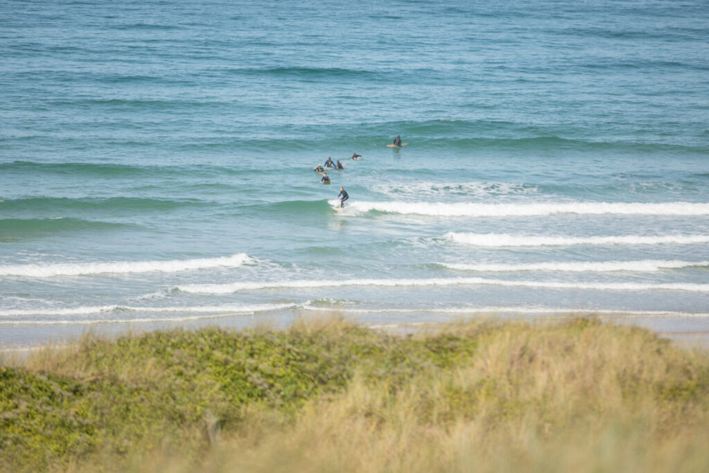 otter surfboards annual gathering of makers beach surfing wooden surfboards