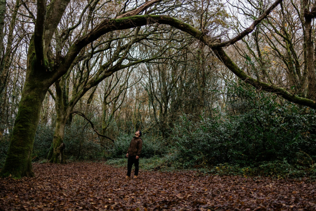 James Otter Woodland
