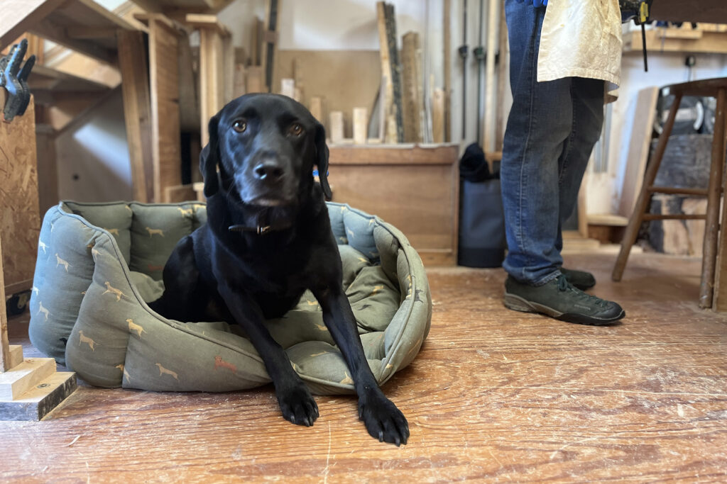 otter wooden surfboard make your own workshop experience sustainable dog