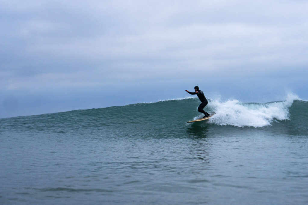 otter sustainable wooden surfboards surfing wave surfer