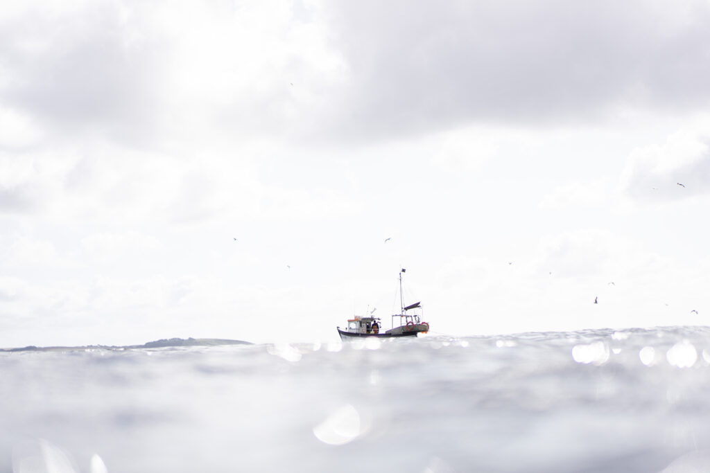 Diving adventure in Cornwall with Otter Surfboards