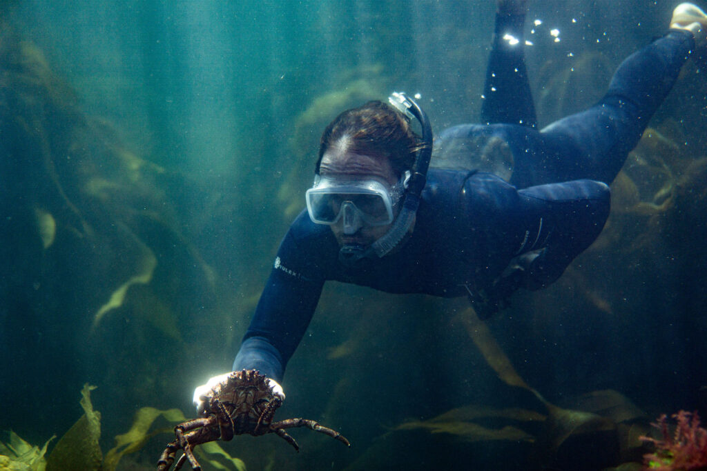 Diving adventure in Cornwall with Otter Surfboards