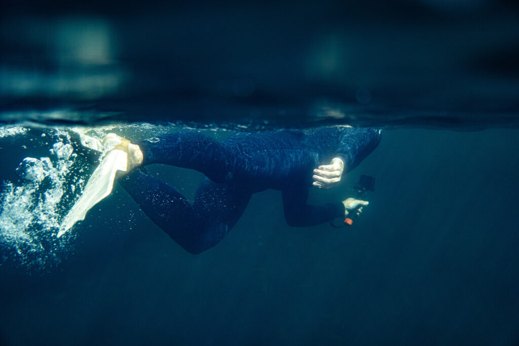 Diving adventure in Cornwall with Otter Surfboards