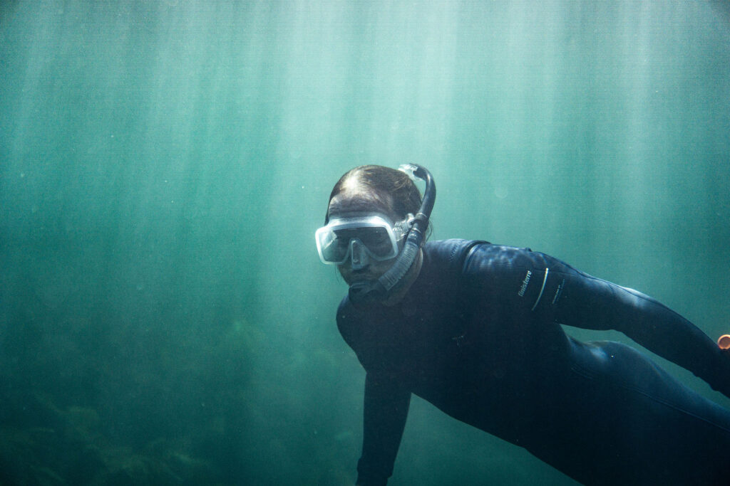 Diving adventure in Cornwall with Otter Surfboards