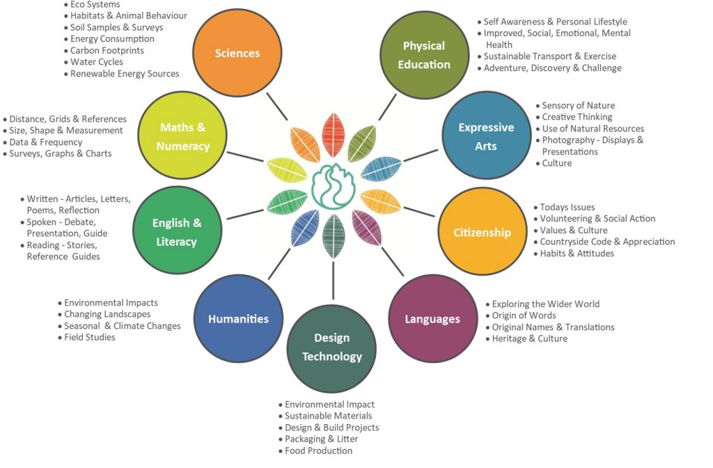 Curriculum Links