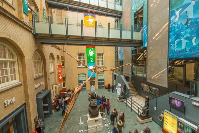 World Museum Liverpool