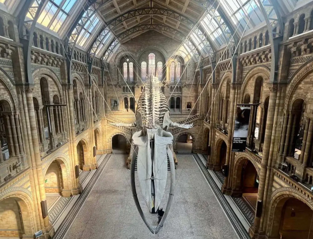 Natural History Museum
