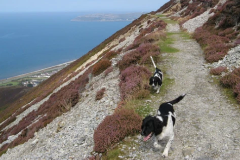 Jubilee Path Walk