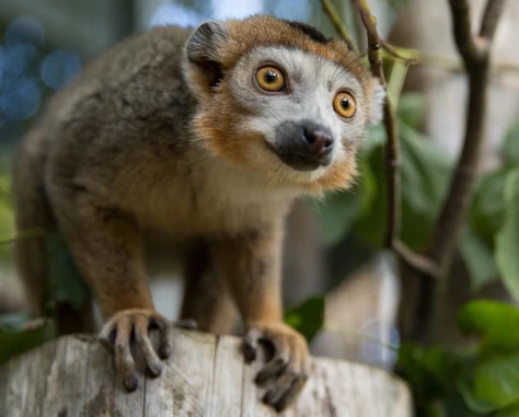 Edinburgh Zoo