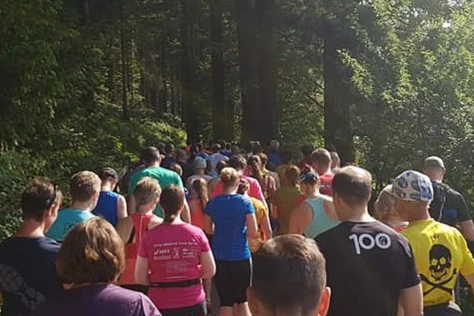 Whinlatter Forest