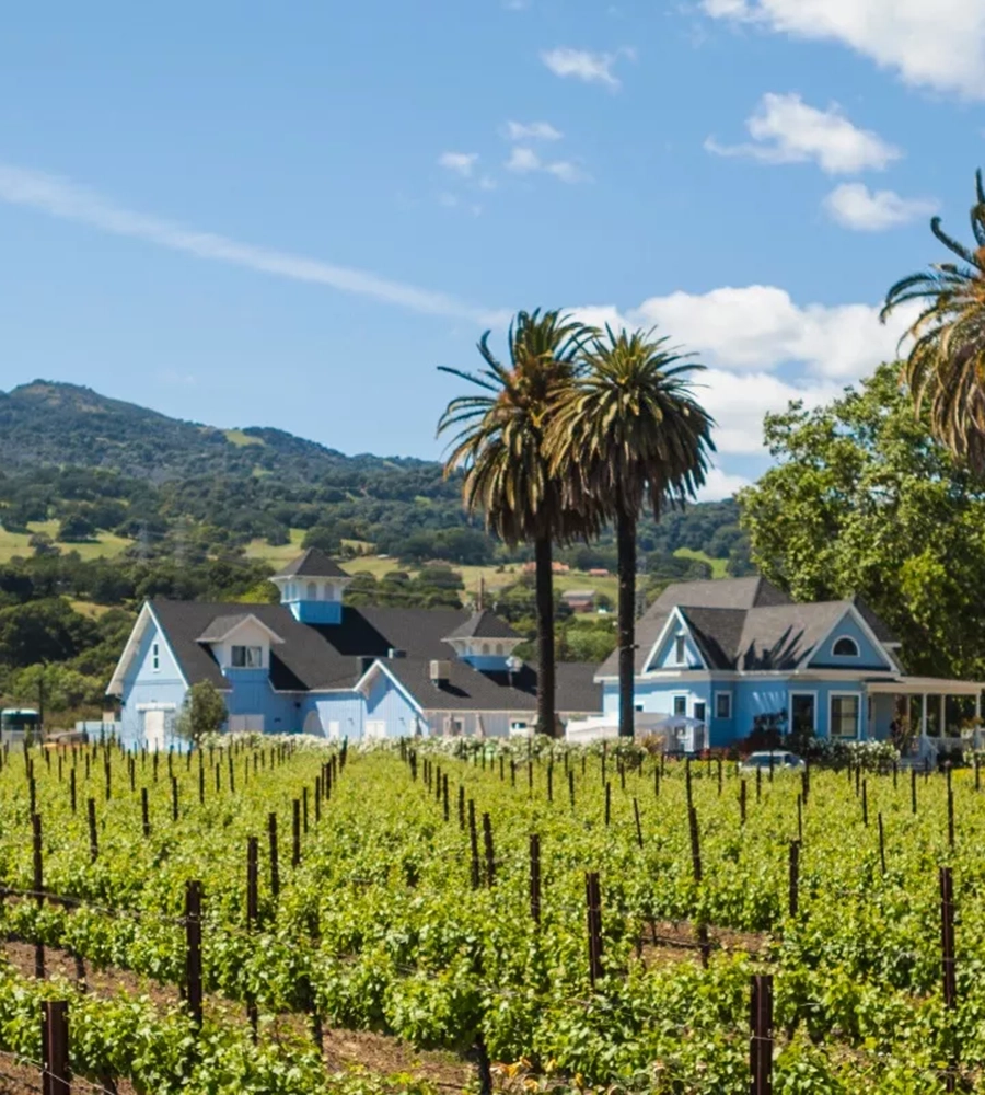 Discover California's Central Valley: The Ultimate Wellness and Foodie Getaway