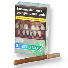 (20 Pack) Sterling Dual Capsule Leaf Wrapped Menthol