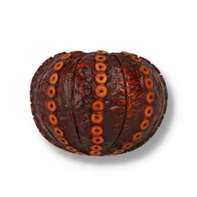 Close-up of the Northern Briars Sea Urchin NB-292 bowl showing the intricate hand-carved sea urchin texture and rich dark tan finish.