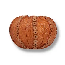 front view of the Northern Briars Light Tan Sea Urchin NB-290 showing the intricate carved sea urchin bowl with individually inset wooden detailing.