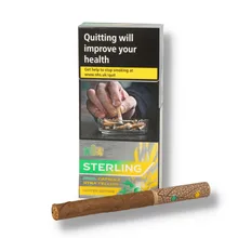 (10 Pack) Sterling Dual Capsule Xtra Yellow Peppermint and Lemon