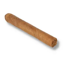 Château Diadem Monkey Business Robusto single cigar in a classic 5 x 50 format with rustic light-brown Dominican wrapper.