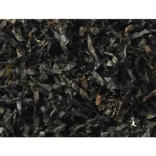 Gawith Hoggarths Kendal Black Cavendish (Blending Pipe Tobacco)