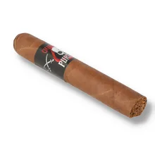 Gurkha Pure Evil Robusto single loose cigar photographed diagonally against a white background, showing its medium-brown Habano wrapper, rounded cap, exposed tobacco foot and black cigar band featuring a white skull