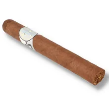Single Fratello Lunar Toro with Moon design holographic band