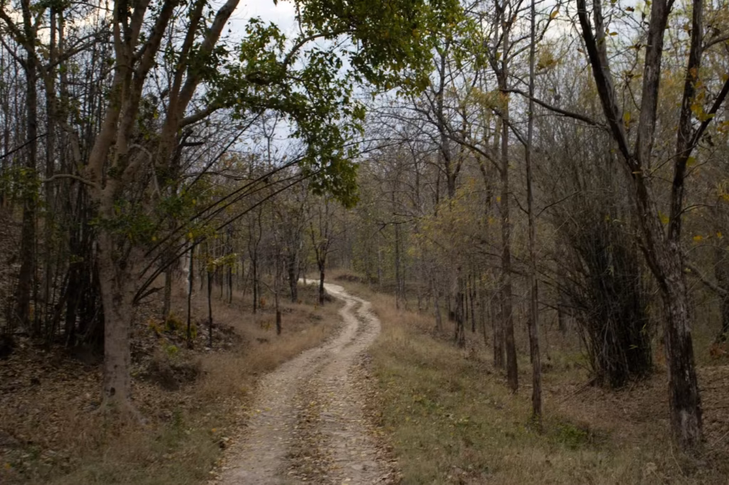 pench-landscape
