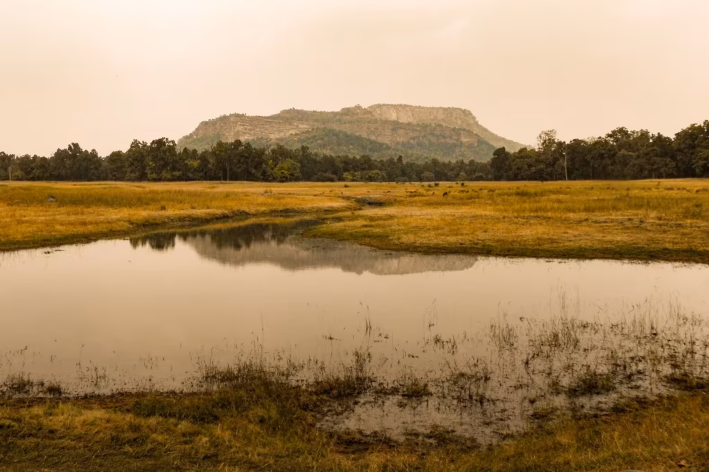Bandhavgarh Hills Meadows
