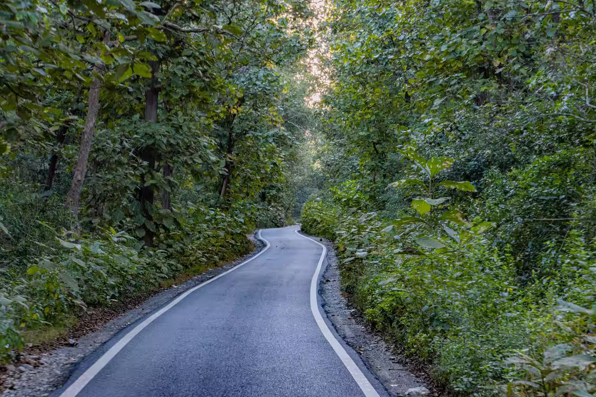 Discover Jim Corbett National Park Discover Jim Corbett National Park
