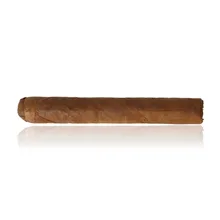 Château Diadem Monkey Business Robusto single cigar in a classic 5 x 50 format with rustic light-brown Dominican wrapper.